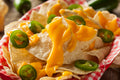 Nachos w/Cheese